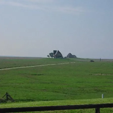 Wind *